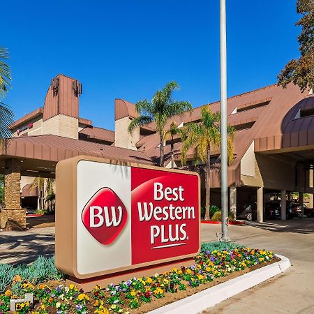 Best Western Plus Irvine Spectrum Hotel Лейк-Форест Экстерьер фото